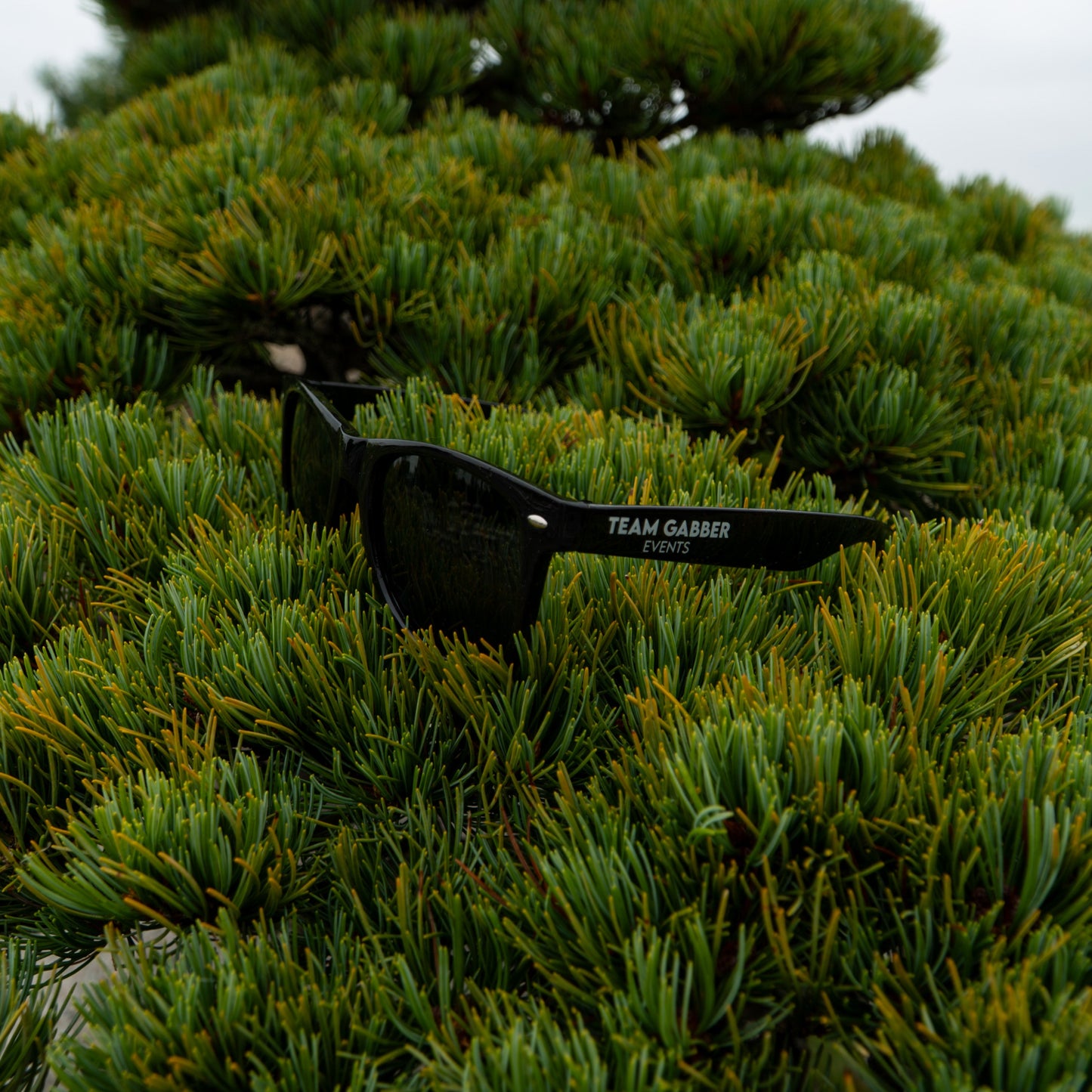 TG x Shangri-La Sunglasses