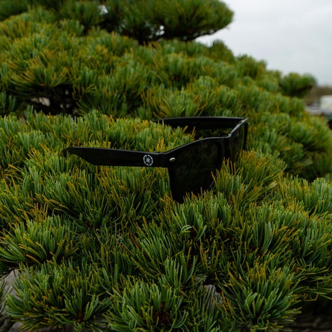 TG x Shangri-La Sunglasses