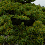 TG x Shangri-La Sunglasses
